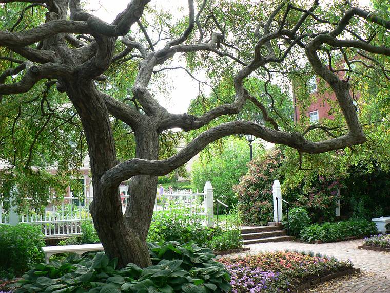 June 16, 2006 - Prescott Park, Portsmouth, New Hampshire.