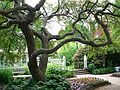 June 16, 2006 - Prescott Park, Portsmouth, New Hampshire.