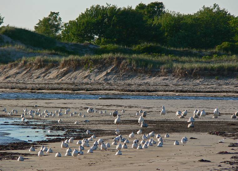 June 21, 2006 - Sandy Point State Reservation, Plum Island, Massachusetts.