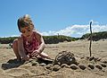 June 27, 2006 - Parker River National Wildlife Refuge, Plum Island, Massachusetts.<br />Miranda.