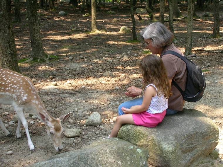 July 10, 2006 - Southwick's Zoo, Mendon, Massachusetts.<br />Miranda and Joyce feeding deer.