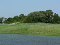 July 10, 2006 - Newburyport, Massachusetts.<br />A 45-min. narrated harbor cruise.<br />Marsh on the Salisbury side of the Merrimack River.