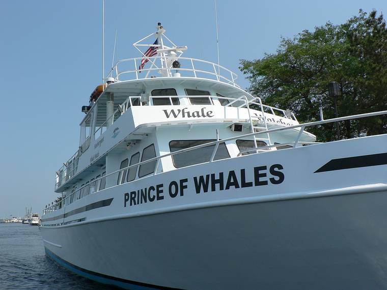July 10, 2006 - Newburyport, Massachusetts.<br />A 45-min. narrated harbor cruise.<br />The local whale watch boat.