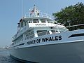 July 10, 2006 - Newburyport, Massachusetts.<br />A 45-min. narrated harbor cruise.<br />The local whale watch boat.