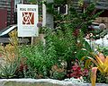 July 11, 2006 - Lenox, Massachusetts.