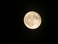 July 11, 2006 - Tanglewood, Lenox, Massachusetts.<br />The almost full moon (it was full at 10:02 am the day before) after the concert.