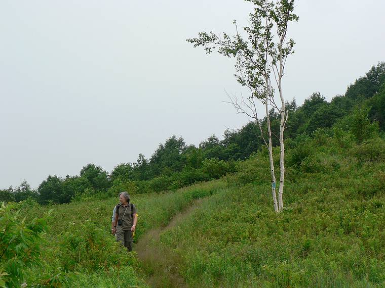 July 12, 2006 - Mount Greylock, Massachusetts.<br />Joyce, and Baiba behind her, along trail south of the peak of Greylock.