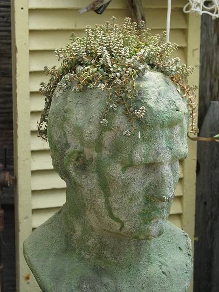 July 19, 2006 - Pettengill Farm, Salisbury, Massachusetts.