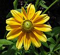 July 19, 2006 - Pettengill Farm, Salisbury, Massachusetts.
