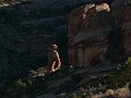 August 10, 2006 - Colorado National Monument near Grand Junction, Colorado.<br />View along Rim Rock Drive.
