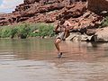 August 14, 2006 - Day 3 on the Green River, Utah.<br />Sati sneaks in another dive.