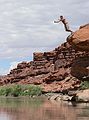 August 14, 2006 - Day 3 on the Green River, Utah.<br />Sati outdoes everyone.