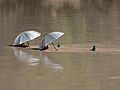 August 14, 2006 - Day 3 on the Green River, Utah.<br />Sati and Melody drifting by while enjoying some shade.