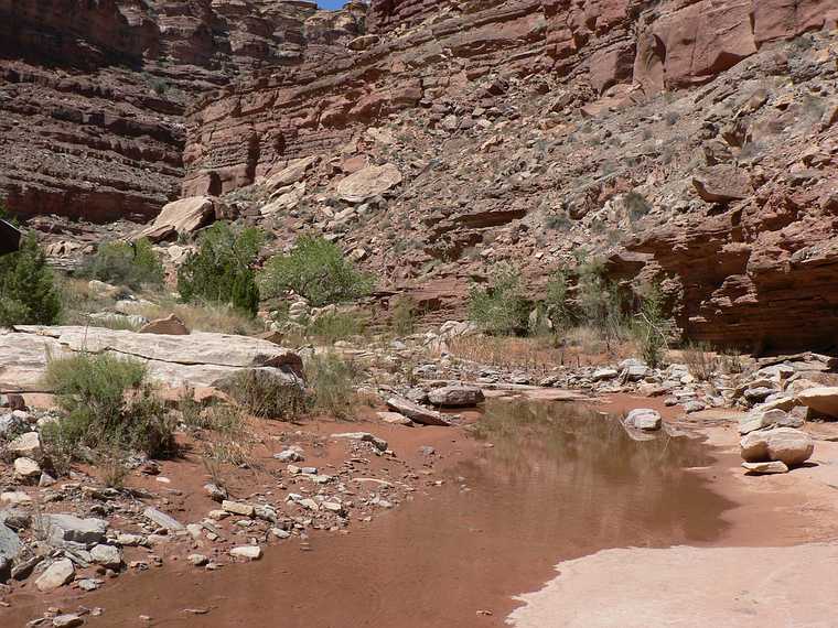 August 15, 2006 - Day 4 on the Green River, Utah.<br />The Water Canyon lives up to its name.