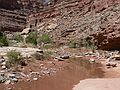 August 15, 2006 - Day 4 on the Green River, Utah.<br />The Water Canyon lives up to its name.