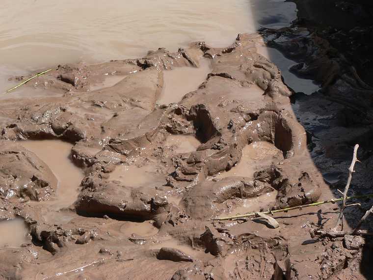 August 15, 2006 - Day 4 on the Green River, Utah.<br />The mud or silt. Although we found lots of this, it was never unplesant. It felt clean.<br />Where the current was swift, the botton was generally sandy and firm.