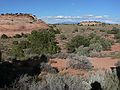 August 17, 2006 - Island in the Sky, Canyonlands National Park, Utah.<br />Aztec Butte from the parking lot.