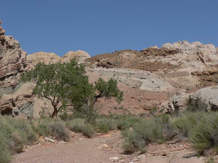 August 19, 2006 - Little Wild Horse Canyon, near Goblin Valley State Park, Utah.<br />Approach to both Little Wild Horse and Bell Canyons in the San Rafael Swell.