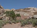 August 19, 2006 - Little Wild Horse Canyon, near Goblin Valley State Park, Utah.<br />Approach to both Little Wild Horse and Bell Canyons in the San Rafael Swell.