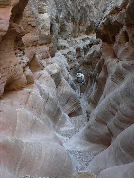 August 19, 2006 - Little Wild Horse Canyon, near Goblin Valley State Park, Utah.<br />Joyce.