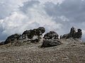 August 21, 2006 - Rock Cut, Rocky Mountain National Park, Colorado.