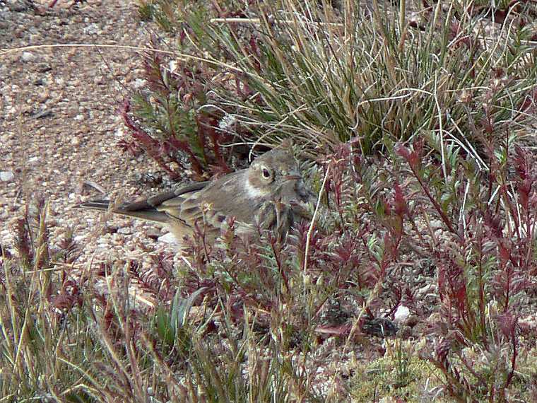 August 21, 2006 - Rocky Mountain National Park, Colorado.
