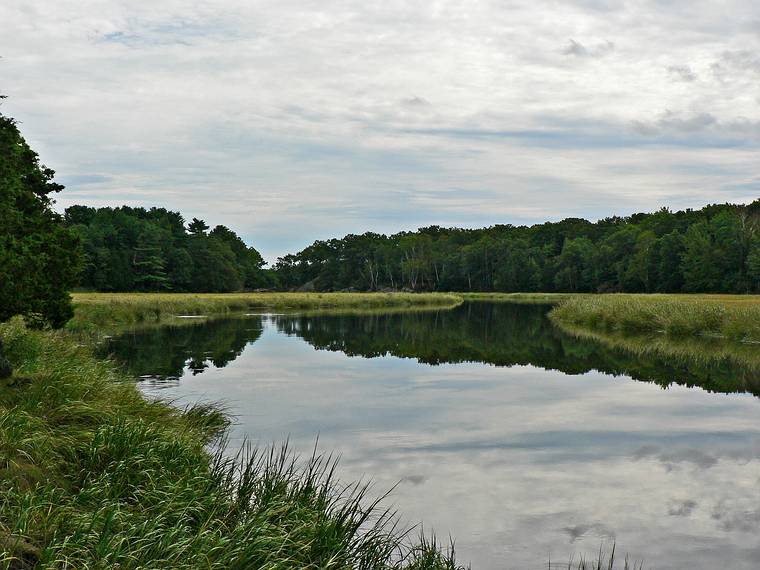 Sept. 5, 2006 - Old Town Hill (Trustees of Reservations), Newbury, Massachusetts.<br />Along the shore of the Little River.