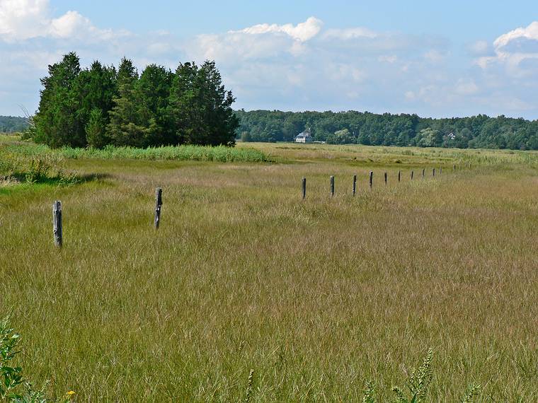 Sept 7, 2006 - Old Town Hill (Trustees of Reservations), Newbury, Massachusetts.<br />Little River section of the park.