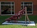 Sept. 21, 2006 - Longwood University, Farmville, Virginia.<br />Painting of Joyce's "Strobus".<br />Freshly painted.