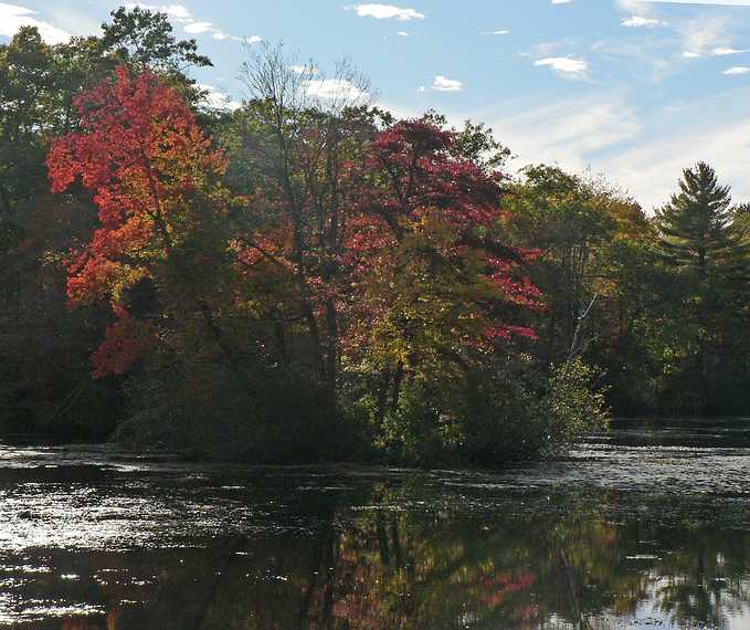 October 6, 2006 - Maudslay State Park, Newburyport, Massachusetts.<br />The Artichoke River above Curzon's Mill.