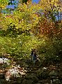 October 8, 2006 - Mt. Percival and Mt. Morgan hike near Holderness, New Hampshire.<br />Deb and Joyce on Mt. Percival Trail.