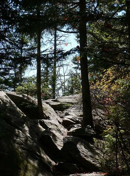 October 8, 2006 - Mt. Percival and Mt. Morgan hike near Holderness, New Hampshire.<br />Trail near top of Mt. Morgan.