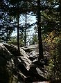 October 8, 2006 - Mt. Percival and Mt. Morgan hike near Holderness, New Hampshire.<br />Trail near top of Mt. Morgan.