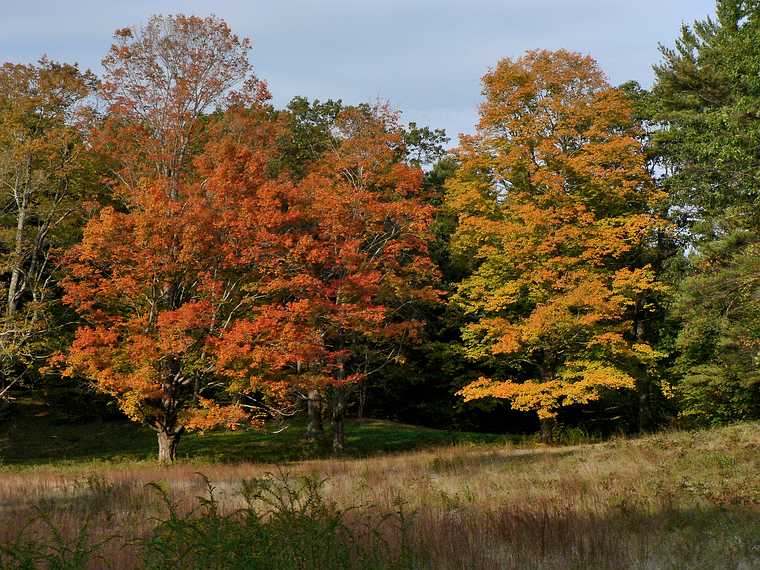 October 10, 2006 - Maudslay State Park, Newburyport, Massachusetts.