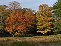October 10, 2006 - Maudslay State Park, Newburyport, Massachusetts.