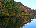 Oct. 13, 2006 - Maudslay State Park, Newburyport, Massachusetts.<br />The Artichoke River above Curzon's Mill.
