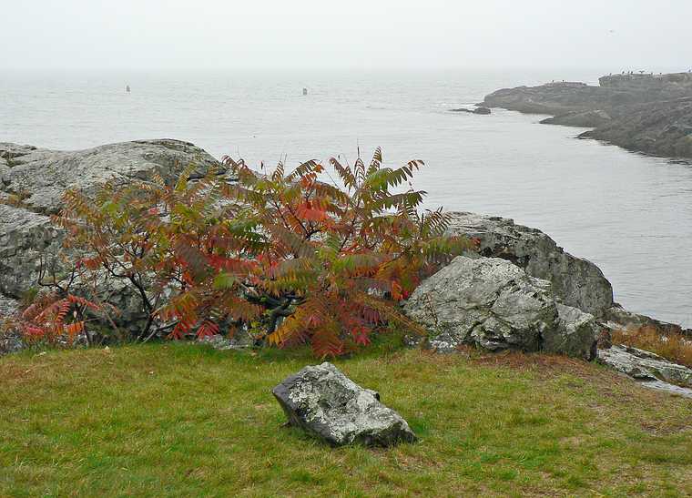 Oct. 20, 2006 - Ogunquit Museum of American Art, Maine.
