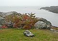 Oct. 20, 2006 - Ogunquit Museum of American Art, Maine.