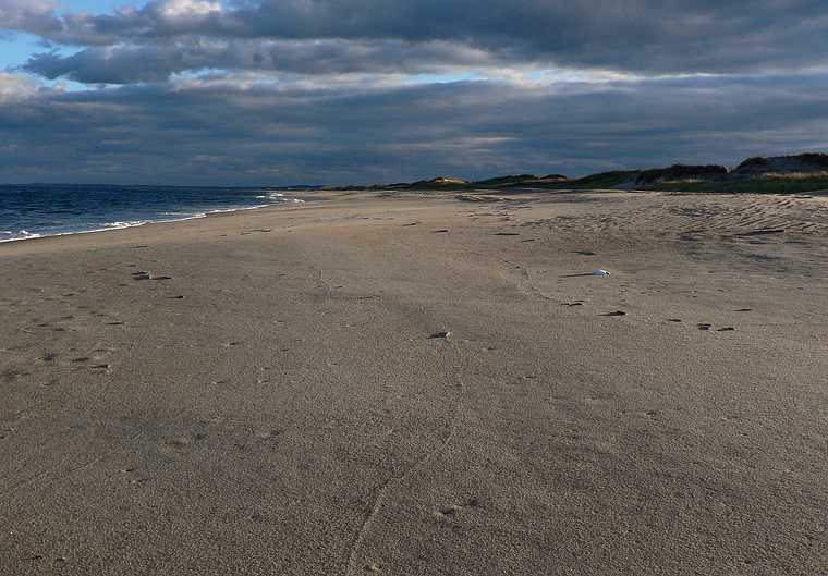 October 26, 2006 - Parker River National Wildlife Refuge, Plum Island, Massachusetts.<br />A walk late in the afternoon.