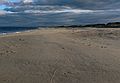 October 26, 2006 - Parker River National Wildlife Refuge, Plum Island, Massachusetts.<br />A walk late in the afternoon.