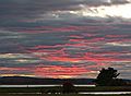 October 26, 2006 - Parker River National Wildlife Refuge, Plum Island, Massachusetts.<br />A walk late in the afternoon.