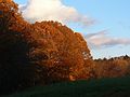 Nov. 3, 2006 - Maudslay State Park, Newburyport, Massachusetts.