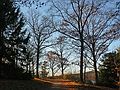 Nov. 10, 2006 - Maudslay State Park, Newburyport, Massachusetts.