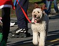 Dec. 3, 2006 - Santa Parade, Merrimac, Massachusetts.