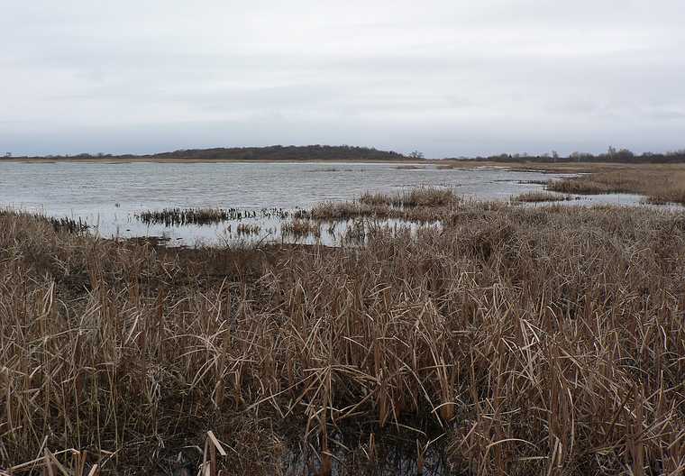 Dec. 13, 2006 - Sandy Point State Reservation, Plum Island, Massachusetts.