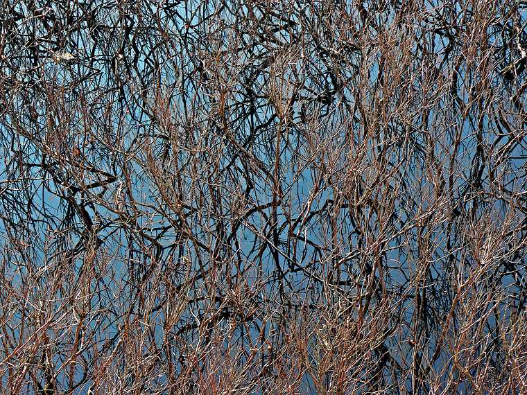 Dec. 14, 2006 - Ipswich River Wildlife Sanctuary, Topsfield, Massachusetts.