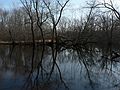 Dec. 14, 2006 - Ipswich River Wildlife Sanctuary, Topsfield, Massachusetts.