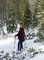 Dec. 29, 2006 - Along the Rubicon Trail, Tahoma, California.<br />Priya.