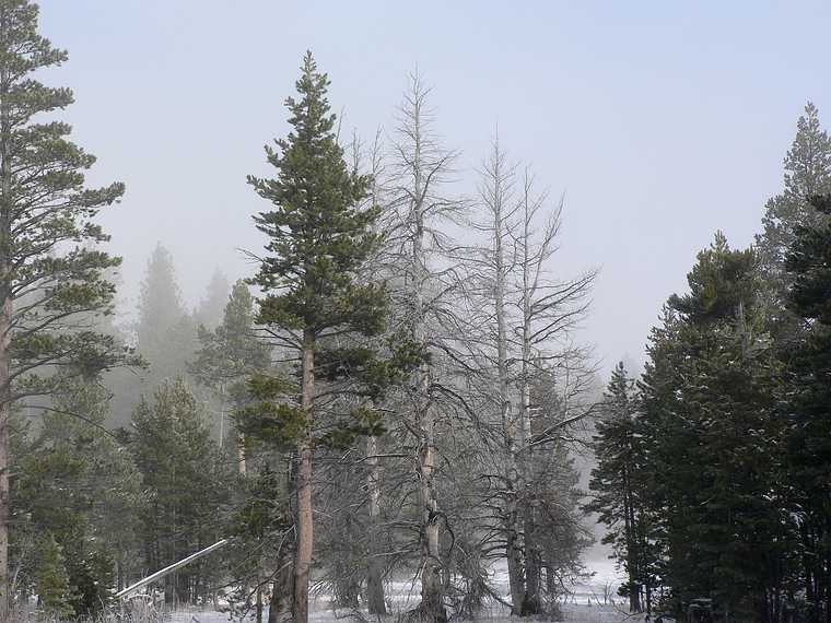 Dec. 30, 2006 - South Lake Tahoe, California.<br />Morning walk along the bike path.