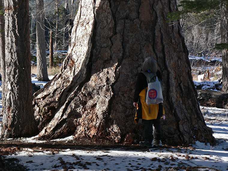 Dec. 30, 2006 - Camp Richardson area along the shore of Lake Tahoe, California.<br />Joyce.